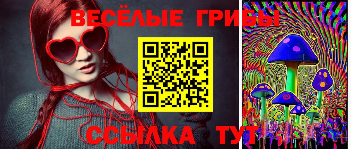 Псилоцибиновые грибы мицелий Дальнереченск